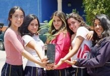 Plantación de Arboles