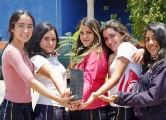 Plantación de Arboles