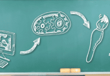 La educación del futuro en 6 puntos La educación del futuro en 6 puntos
