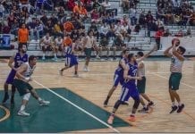 La Tribu Verde camina a paso firme