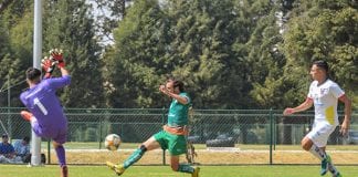 Avanza firme la Tribu Verde en balonvolea, baloncesto y futbol soccer