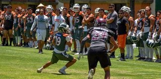 La Tribu Verde dará una advertencia previa a la temporada