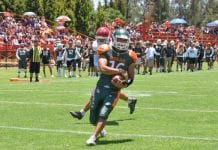 La Tribu Verde comenzó la conquista