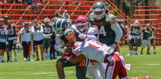 La Tribu Verde festeja 100 partidos en la Conferencia Premier