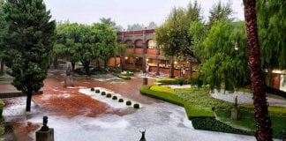 Las publicaciones más populares del 2019 en Facebook UDLAP