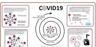 La investigación científica y la educación como útil para combatir a la pandemia de COVID-19 en México y el mundo