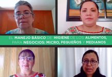 Principio fundamental de la higiene es el orden y la desinfección Principio fundamental de la higiene es el orden y la desinfección