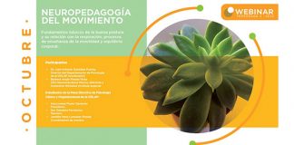 Frente a Covid-19 el ser humano debe cerciorarse que las vías respiratorias funcionan al100%