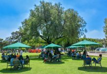 3.5% de la población mundial son migrantes: académica UDLAP