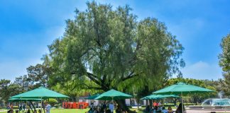 Se amplía plazo para la entrega de proyectos para el Premio BASF- UDLAP