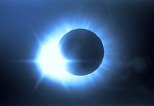 Cinco novelas distópicas que puedes encontrar en Biblioteca UDLAP