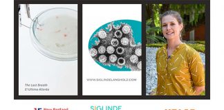 Académica UDLAP realizó residencia en la Universidad de Nueva Inglaterra