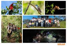Estudiantes de Biología de la UDLAP realizan prácticas de campo y fortalecen su enseñanza colegial ￼