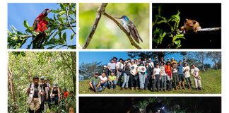 Estudiantes de Biología de la UDLAP realizan prácticas de campo y fortalecen su enseñanza colegial ￼