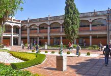 Pedagogo, profesionista importante para la transformación social 
