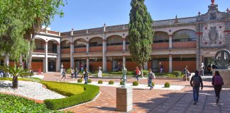 Pedagogo, profesionista importante para la transformación social 