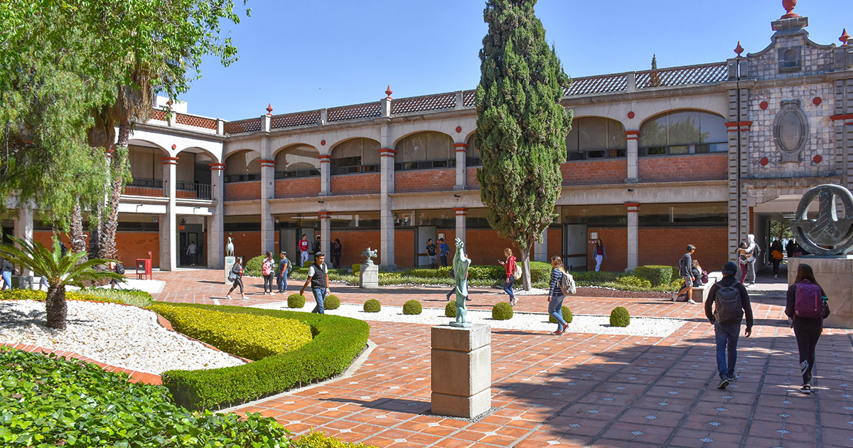 Pedagogo, profesionista importante para la transformación social 