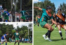 La Tribu Verde quiere un fin de semana solo de éxitos La Tribu Verde quiere un fin de semana solo de éxitos