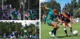 La Tribu Verde quiere un fin de semana solo de éxitos    