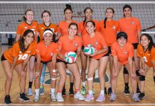 La Tribu Verde necesita a la Nación Mexica para apoyarla  