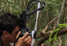 Egresado UDLAP agradecido como mejor fotógrafo de vida silvestre 