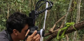 Egresado UDLAP agradecido como mejor fotógrafo de vida silvestre 