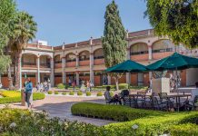 Contaduría, entre las licenciaturas más estudiadas del país 