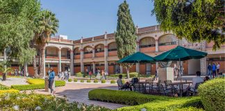 Contaduría, entre las licenciaturas más estudiadas del país 