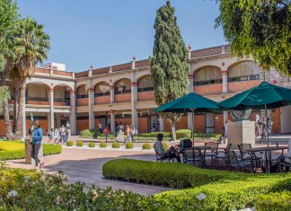 Contaduría, entre las licenciaturas más estudiadas del país Contaduría, entre las licenciaturas más estudiadas del país