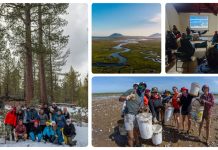Estudiantes de Biología de la UDLAP participan en proyectos de conservación en la península de Desestimación California