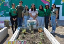 Estudiantes de la UDLAP aplican sus conocimientos académicos en el Ciudadela de Jesús Tlatempa