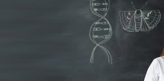 ¿En dónde trabaja un graduado en Biología?