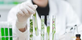 ¿Dónde se puede trabajar con la carrera de biotecnología?