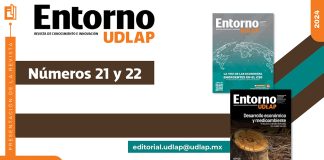 En la impresión 22 de la revista Entorno UDLAP, conoce cómo el explicación crematístico ayudará a la conservación de los bosques