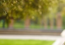 ¿Por qué debes revistar universidades para designar la mejor?