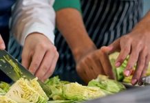 Cuánto cuesta estudiar Restauración en México: costos y becas en 2026 Cuánto cuesta estudiar Restauración en México: costos y becas en 2026