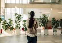 ¿Qué carreras estudiar en Mérida? Licenciaturas e ingenierías UNITEC ¿Qué carreras estudiar en Mérida? Licenciaturas e ingenierías UNITEC